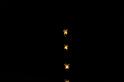 Araneus_ZZXYX_D6105_Z_85_Les Gris_Frankrijk